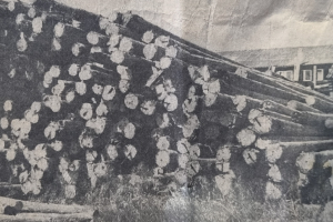 oude foto van houten balken